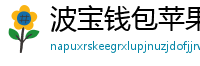 波宝钱包苹果版